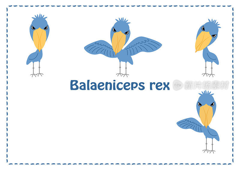 Habirokou插图集(明信片)向量鞋喙鹳猫头鹰Balaeniceps rex插图集(明信片)矢量
